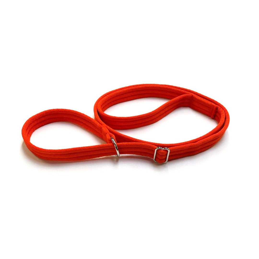 Dog Slip Leads Training Obedience Walking Leash 60"/5ft Long 20mm 25mm Air Webbing 24 Colours