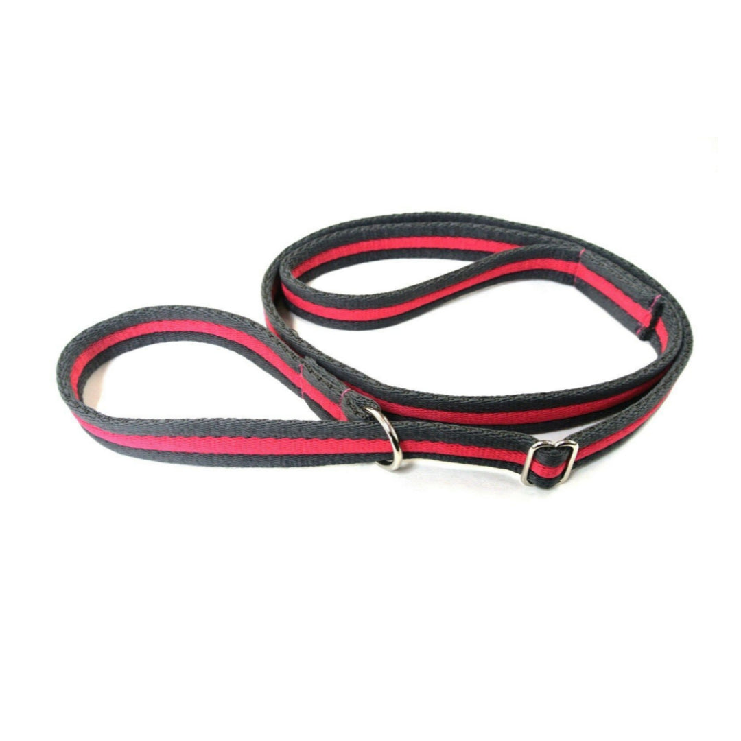 Dog Slip Leads Training Obedience Walking Leash 60"/5ft Long 20mm 25mm Air Webbing 24 Colours