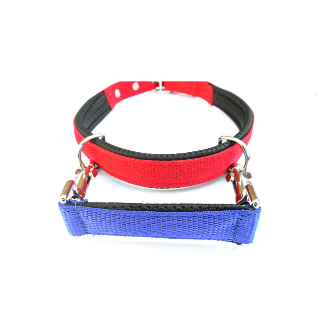 Padded Grab Handle Restraint For Dog Collars 9 Inch In 25mm Webbing In 19 Colours