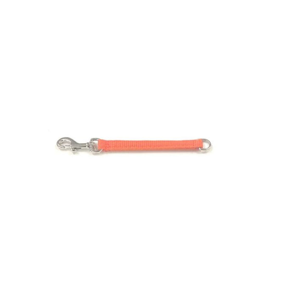 Short Grab Handle Dog Lead 7" Long Identity Tab Dog Agility 13mm Webbing
