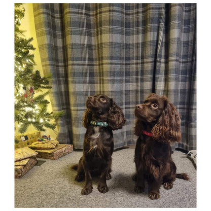 Christmas Dog Collars Adjustable 25mm Wide In Various Designs Small Medium Large