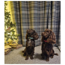 Load image into Gallery viewer, Christmas Dog Collars Adjustable 25mm Wide In Various Designs Small Medium Large