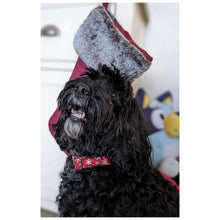 Load image into Gallery viewer, Christmas Dog Collars Adjustable 25mm Wide In Various Designs Small Medium Large