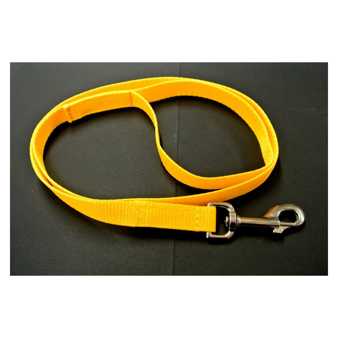 45" Long Puppy Dog Walking Lead Leash 20mm Wide Strong Durable Webbing In 19 Colours