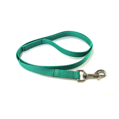 45" Long Puppy Dog Walking Lead Leash 20mm Wide Strong Durable Webbing In 19 Colours