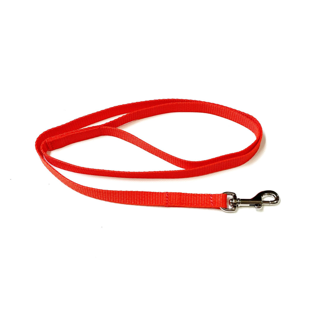 76" Long Dog Walking Lead Puppy Leash 13mm Wide Strong Durable Webbing In 19 Colours