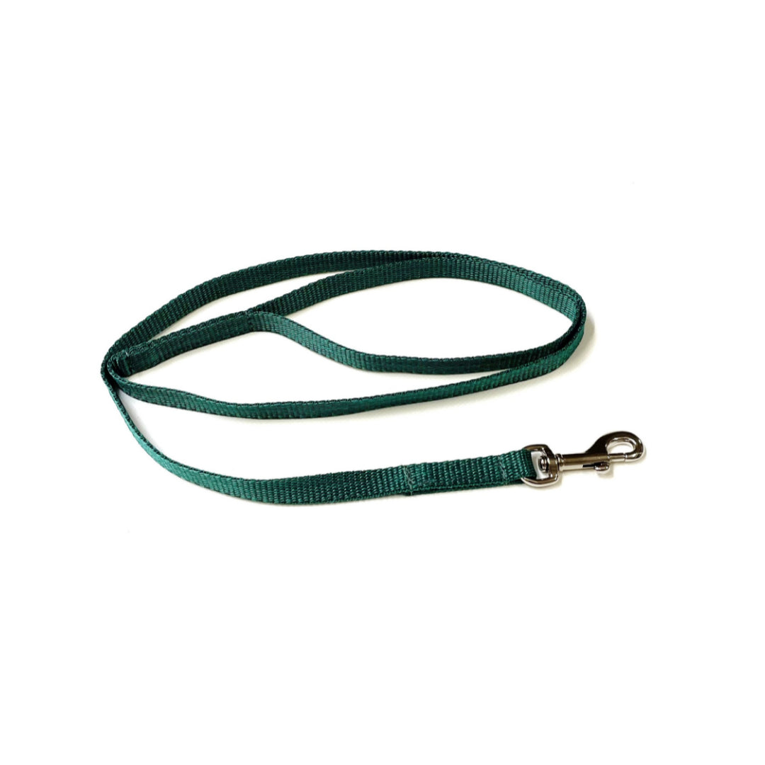 76" Long Dog Walking Lead Puppy Leash 13mm Wide Strong Durable Webbing In 19 Colours