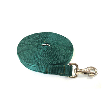 20ft 6m Large Dog Training Lead Horse Lunge Line 25mm Cushion Webbing In Various Colours