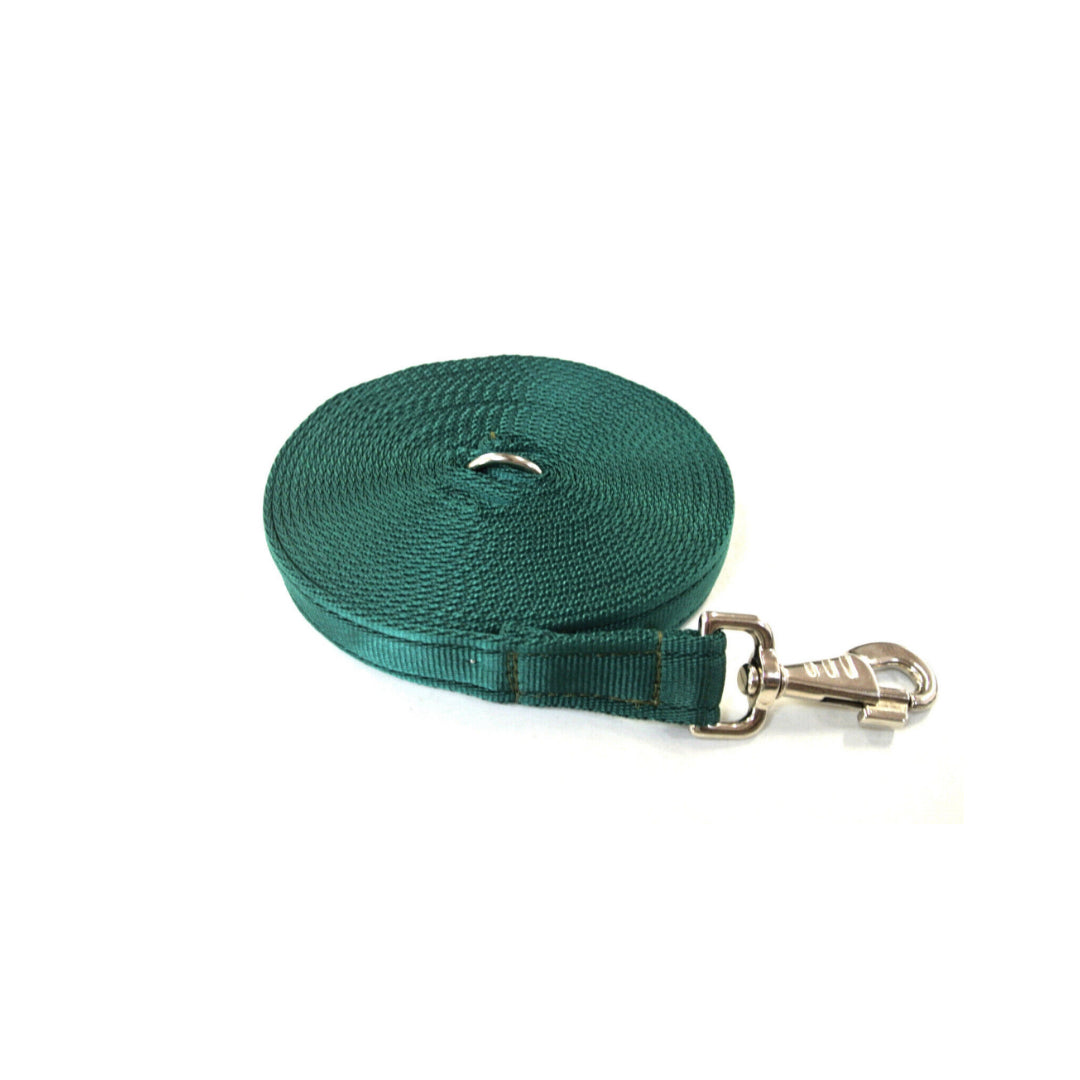 10ft 3m Large Dog Training Lead Horse Lunge Line 25mm Cushion Webbing In Various Colours