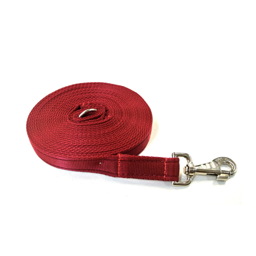 20ft 6m Large Dog Training Lead Horse Lunge Line 25mm Cushion Webbing In Various Colours