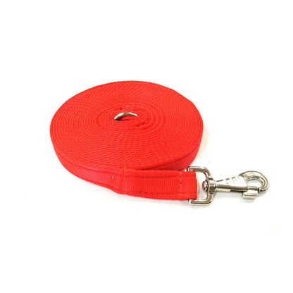 20ft 6m Large Dog Training Lead Horse Lunge Line 25mm Cushion Webbing In Various Colours