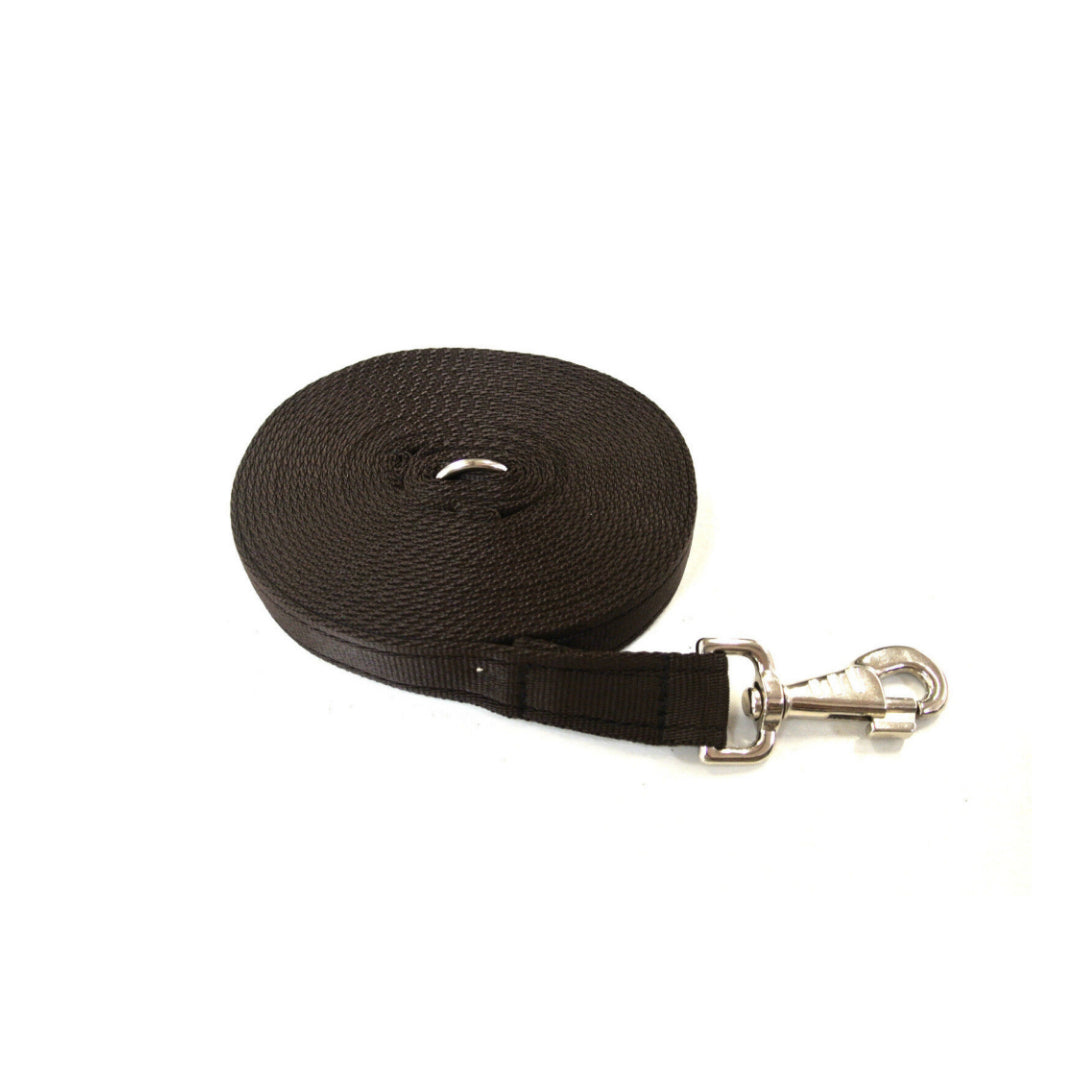 20ft 6m Large Dog Training Lead Horse Lunge Line 25mm Cushion Webbing In Various Colours