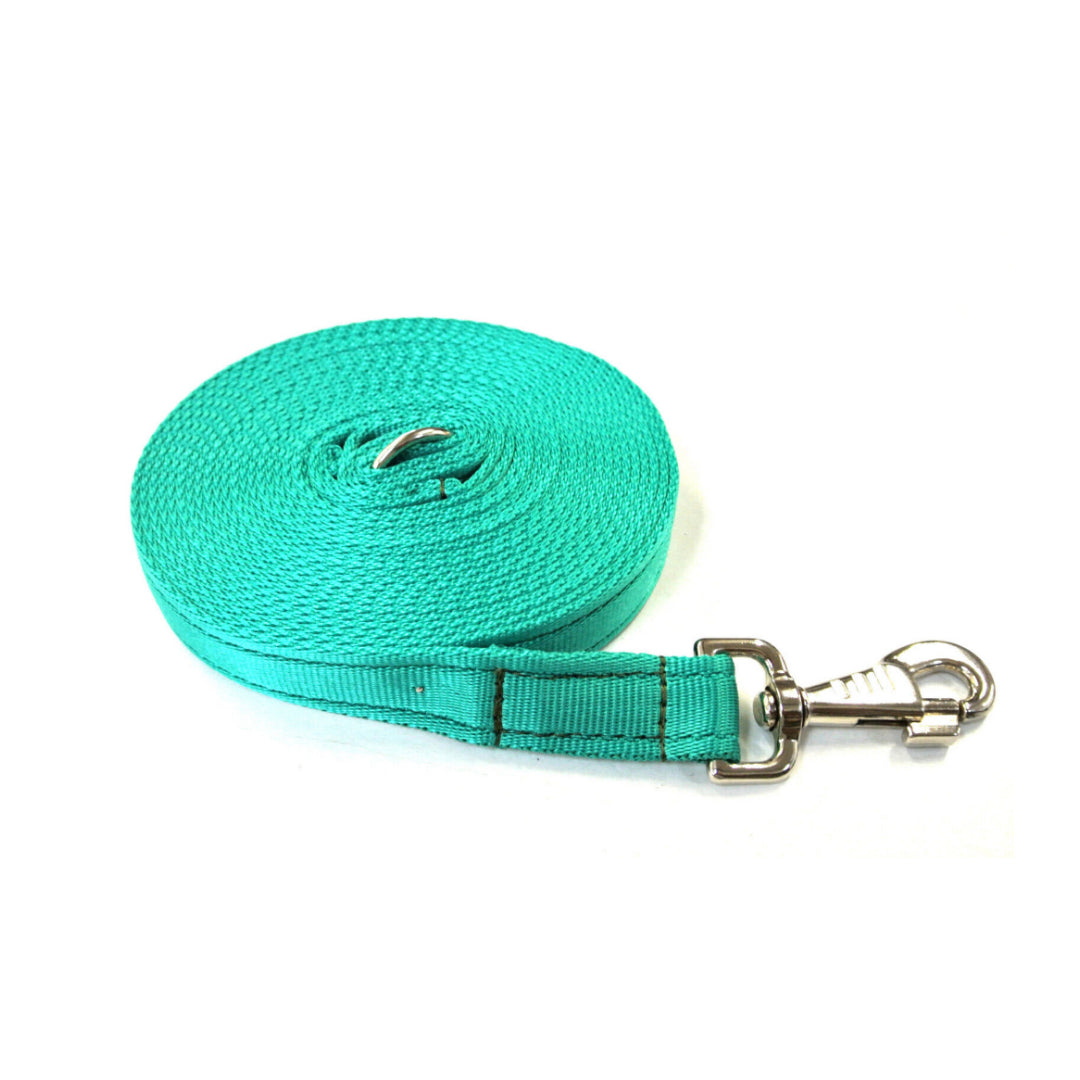 20ft 6m Large Dog Training Lead Horse Lunge Line 25mm Cushion Webbing In Various Colours