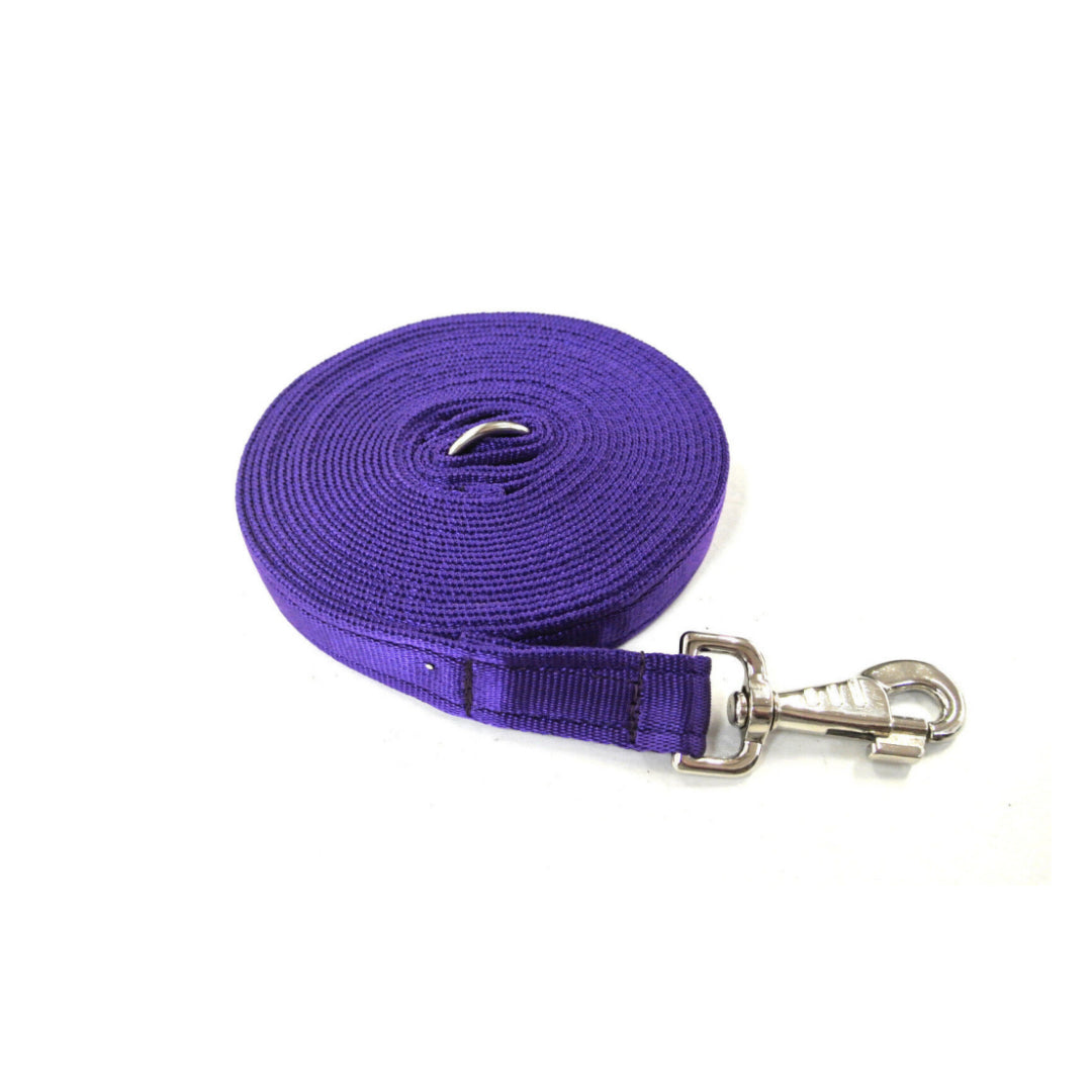 10ft 3m Large Dog Training Lead Horse Lunge Line 25mm Cushion Webbing In Various Colours