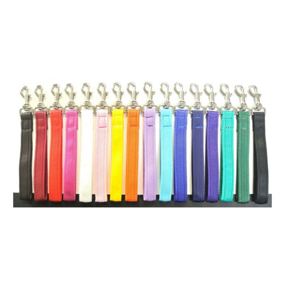 10" Short Close Control Dog Training Lead Leash 25mm Cushion Webbing In 19 Colours