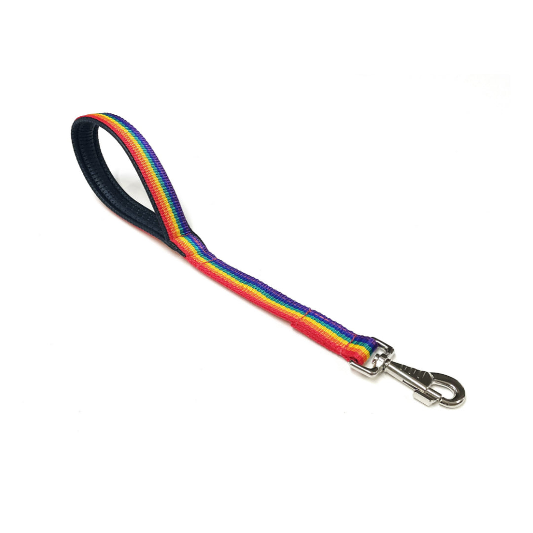 20" Short Close Control Dog Lead With Padded Handle In Various Colours 25mm Webbing