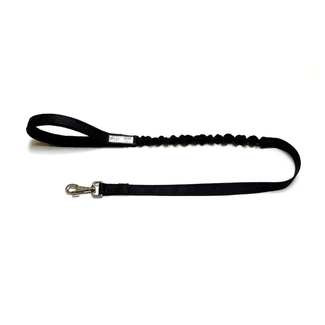 Shock Absorbing Bungee Dog Lead Training Walking Leash With Soft Padded Handle