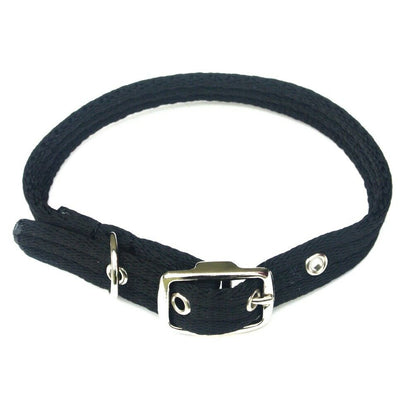 Caveson Buckles Nickel Plated In Widths Of 10mm 13mm 16mm 20mm 25mm Ideal For Dog Collars Webbing Straps Belts