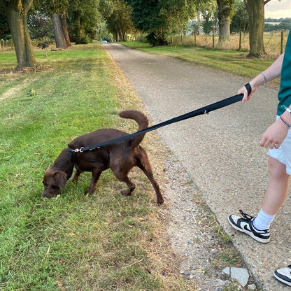 Double Ended Dog Training Lead Multi Functional Walking Leash In Black