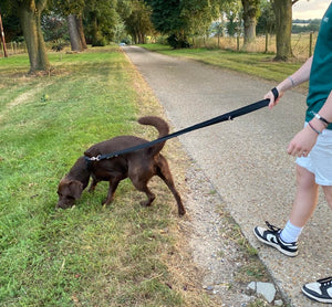 Double Ended Dog Training Lead Multi Functional Walking Leash In Black