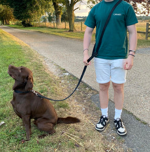 Double Ended Dog Training Lead Multi Functional Walking Leash In Black