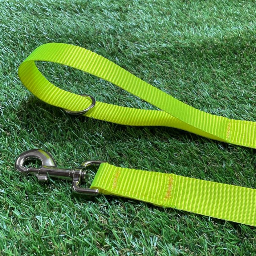 Dog Leads In 25mm Fluorescent Yellow Webbing Training Leash Long Line Short Close Control In Various Lengths