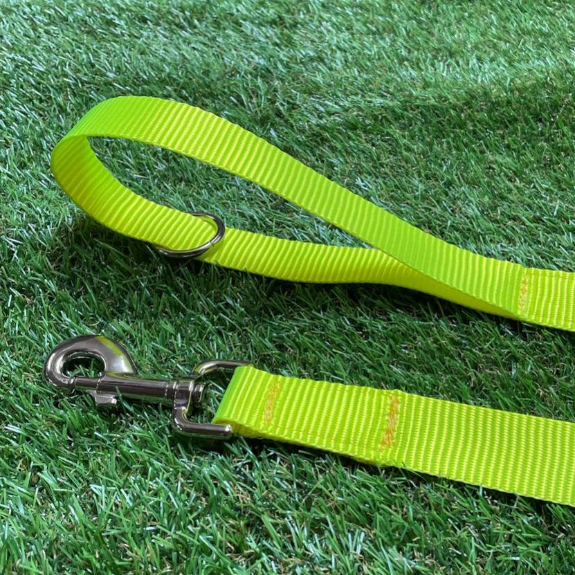 Dog Training Lead 25mm Heavy Webbing 5ft - 30ft Long Line Tracking Recall In 20 Colours