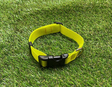 Load image into Gallery viewer, Dog Collar In 25mm Fluorescent Yellow Webbing Adjustable In Various Sizes