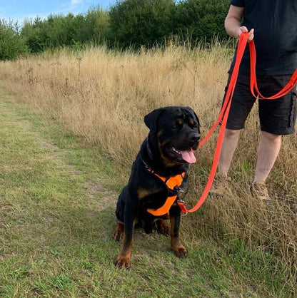 Police Style Dog Training Leads Double Ended Obedience Leash Multi-Functional 25mm Cushion Webbing