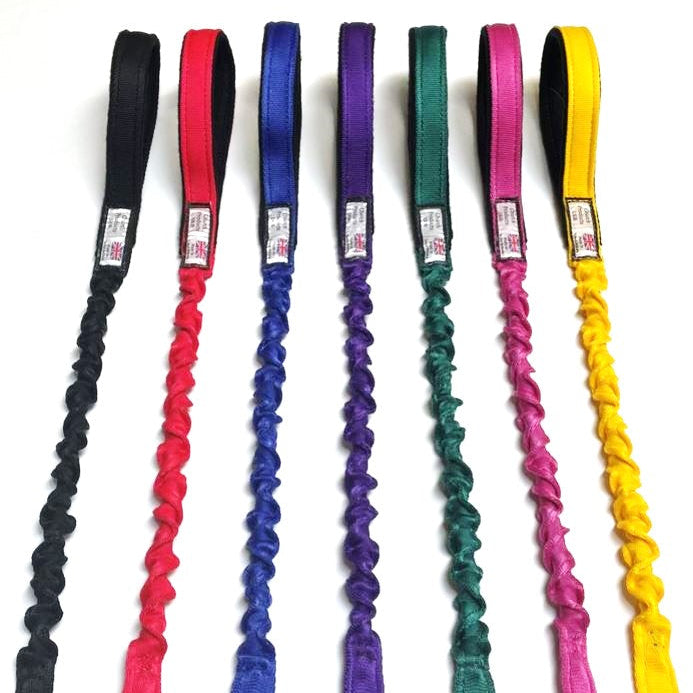 Shock Absorbing Bungee Dog Lead Training Walking Leash With Soft Padded Handle