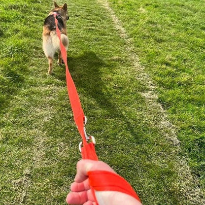 10 x Police Style Dog Training Leads Obedience Leash Multi-Functional 15 Colours