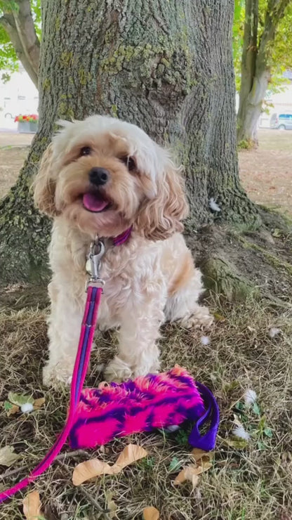 Dog Training Treat Bag Obedience Retrieve Furry Long Prey Dummy In Various Colours Large 7" long x 4"