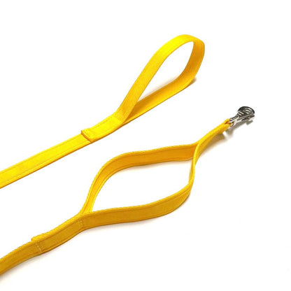 Dog Lead With Double Handle For Quick Grab Safety Control 2m Long Walking Leash