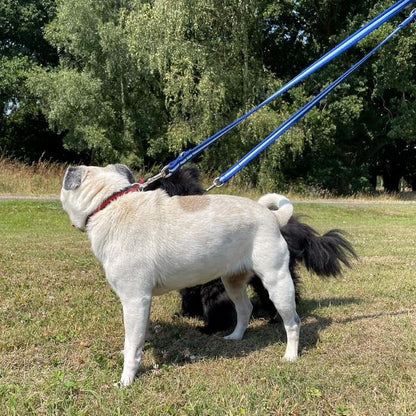 Police Style Dog Training Lead Double Ended Multi Functional Dual Walking Leash 20mm Air Webbing 5ft - 15ft