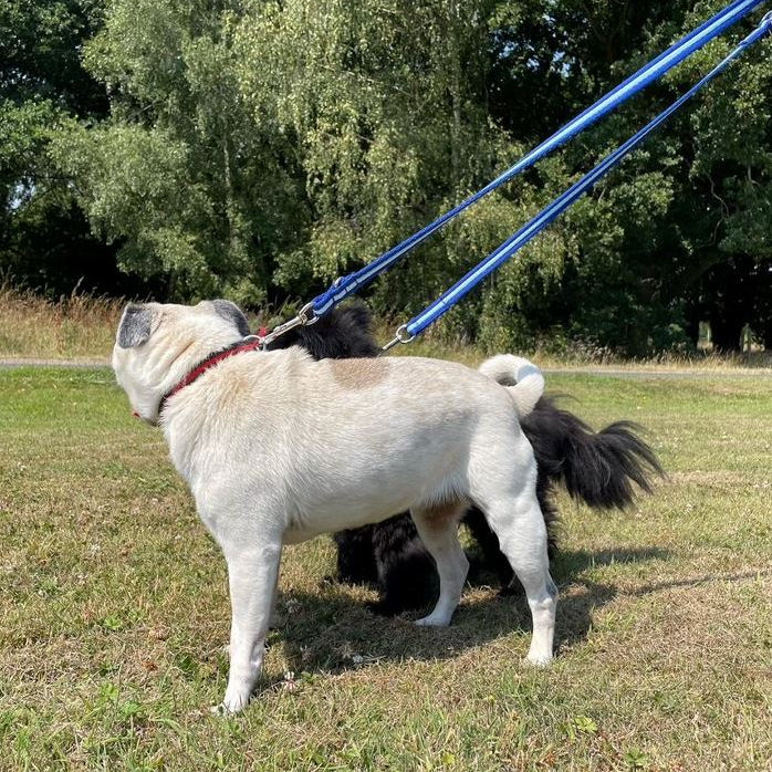 Police Style Dog Training Lead Double Ended Multi Functional Dual Walking Leash 25mm Air Webbing 5ft - 15ft