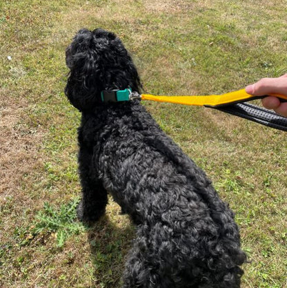 20" Short Close Control Dog Lead With Padded Handle In Various Colours 25mm Webbing