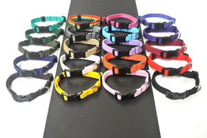 Adjustable Dog Puppy Collars 13mm Wide In Various Colours X Small And Small