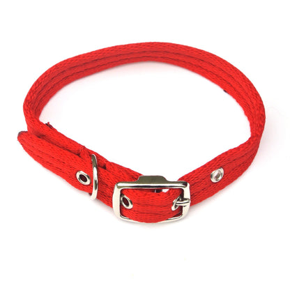 Adjustable Dog Puppy Collar In Red 25mm Wide