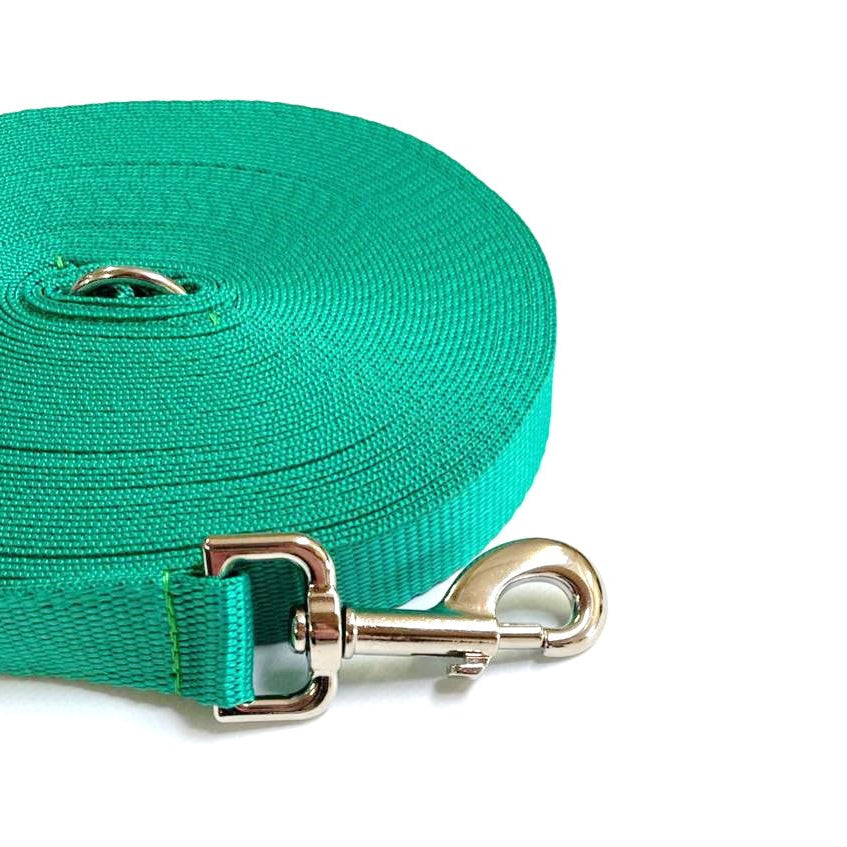 5ft - 30ft Long Dog Training Leads Obedience Recall Walking Leash Puppy In 20mm Webbing 18 Colours