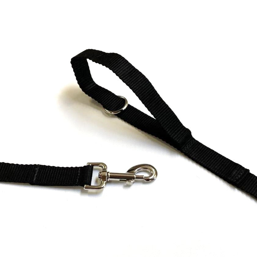 Dog Training Lead 25mm Heavy Webbing 5ft - 30ft Long Line Tracking Recall In 20 Colours