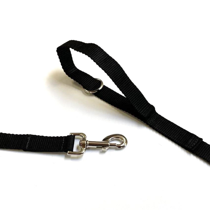 Dog Training Lead 25mm Heavy Webbing 40ft - 100ft Long Line Tracking Recall In 21 Colours