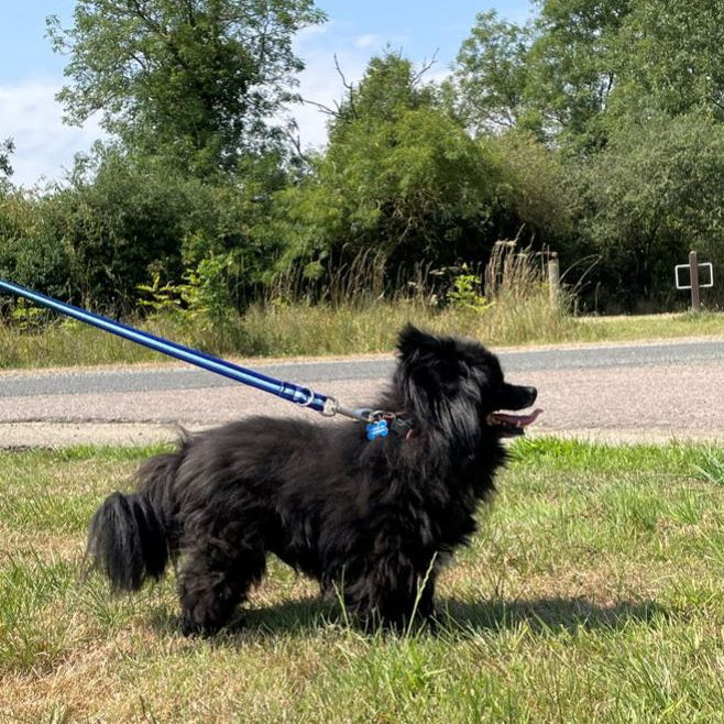 Police Style Dog Training Lead Double Ended Multi Functional Dual Walking Leash 20mm Air Webbing 5ft - 15ft