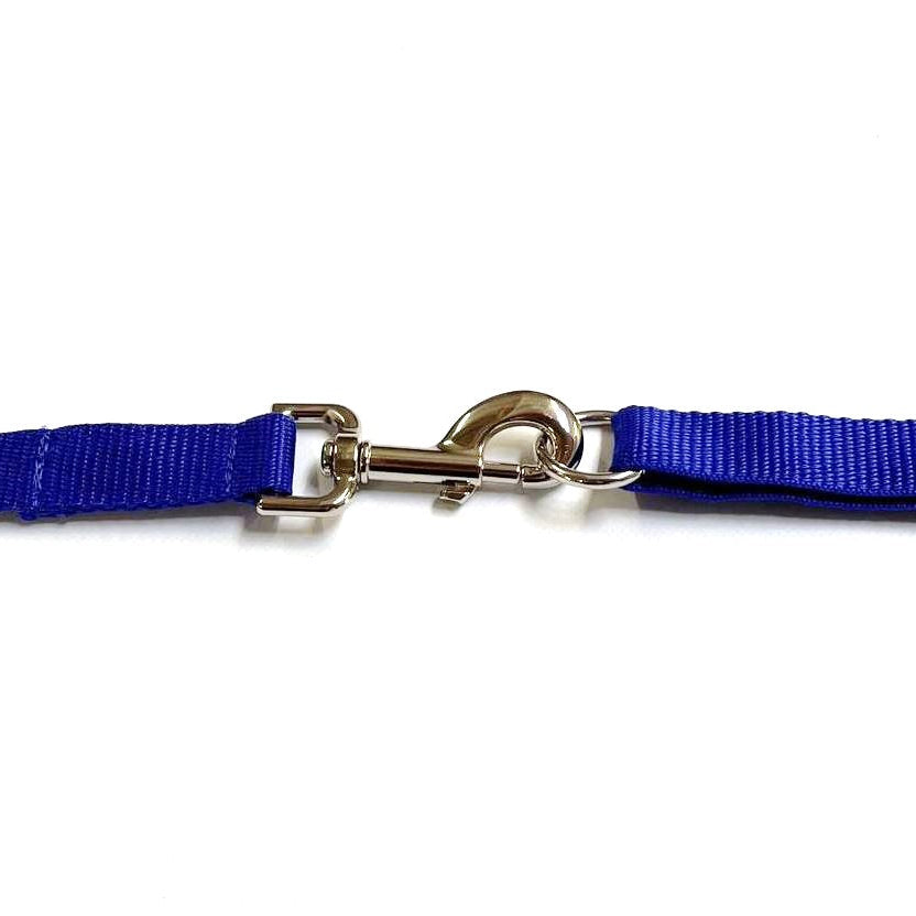 40ft - 100ft Long Dog Training Leads Obedience Recall Walking Leash Puppy In 20mm Webbing 19 Colours