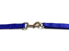Load image into Gallery viewer, 40ft - 100ft Long Dog Training Leads Obedience Recall Walking Leash Puppy In 20mm Webbing 18 Colours