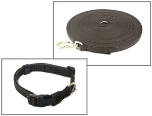 Dog Collar And Lead Set 13mm Webbing X - Small Collar In Various Lengths And Matching Colours